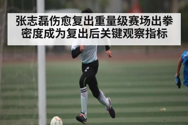 张志磊伤愈复出重量级赛场出拳密度成为复出后关键观察指标（kaiyun）